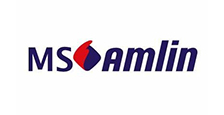 Ms Amlin Logo